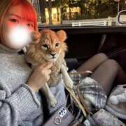 ヒメ日記 2026/01/10 16:30 投稿 上村まいあ メイドin中野（東京ハレ系）