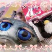 ヒメ日記 2025/10/28 01:10 投稿 まこ ぽっちゃりデリヘル倶楽部