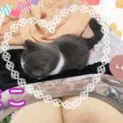 ヒメ日記 2025/12/23 08:49 投稿 まこ ぽっちゃりデリヘル倶楽部