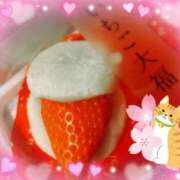 ヒメ日記 2026/01/28 11:39 投稿 まこ ぽっちゃりデリヘル倶楽部