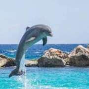 ヒメ日記 2026/02/04 20:52 投稿 ろぜ　新世代アイドル♡ AROMA FACE NAKASU