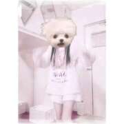 ヒメ日記 2026/03/26 16:12 投稿 ろぜ　新世代アイドル♡ AROMA FACE NAKASU