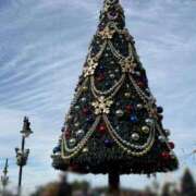 ヒメ日記 2025/12/04 23:54 投稿 もも 人妻倶楽部 内緒の関係 川越店