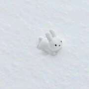 ヒメ日記 2025/11/30 15:52 投稿 おと　アロマフェイスプリンセス AROMA FACE NAKASU