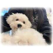 ヒメ日記 2026/03/21 06:42 投稿 なの　絶対的アイドル AROMA FACE NAKASU