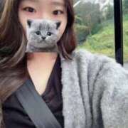 ヒメ日記 2025/11/12 07:18 投稿 えな 上野ハイブリッドマッサージ