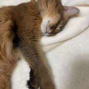 りか＠未経験 りか＠未経験（エコ天王寺店） スピードエコ天王寺店