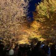 ヒメ日記 2025/11/26 12:45 投稿 まる ぐっすり山田 横浜店