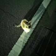 ヒメ日記 2026/01/04 14:23 投稿 まる ぐっすり山田 横浜店