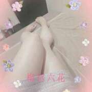 ヒメ日記 2025/11/04 15:13 投稿 梅宮六花 ハールブルク