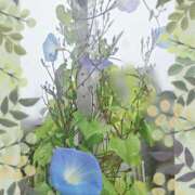 ヒメ日記 2025/11/07 20:11 投稿 梅宮六花 ハールブルク