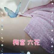 ヒメ日記 2025/11/08 15:13 投稿 梅宮六花 ハールブルク