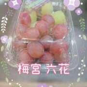 ヒメ日記 2025/11/09 12:45 投稿 梅宮六花 ハールブルク