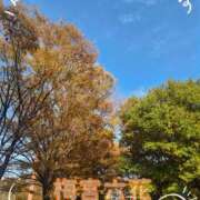 ヒメ日記 2025/11/14 14:45 投稿 梅宮六花 ハールブルク