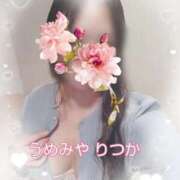 ヒメ日記 2025/11/18 12:18 投稿 梅宮六花 ハールブルク