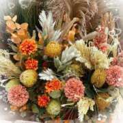 ヒメ日記 2025/11/05 13:55 投稿 ここあ 熟女総本店