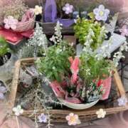 ヒメ日記 2025/11/07 13:25 投稿 ここあ 熟女総本店