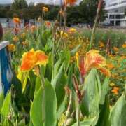 ヒメ日記 2025/11/09 13:25 投稿 ここあ 熟女総本店