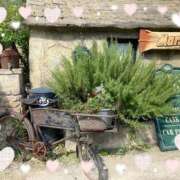 ヒメ日記 2025/11/09 14:25 投稿 ここあ 熟女総本店