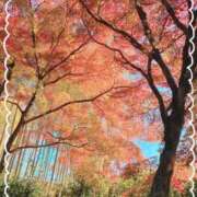 ヒメ日記 2025/11/19 13:25 投稿 ここあ 熟女総本店