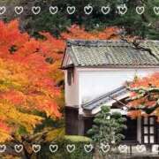 ここあ ありがとうございました♡ 熟女総本店