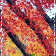 ここあ ありがとうございました♡ 熟女総本店