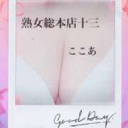 ヒメ日記 2025/12/29 13:18 投稿 ここあ 熟女総本店