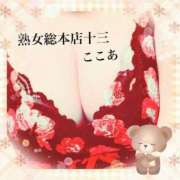 ヒメ日記 2026/01/29 12:42 投稿 ここあ 熟女総本店