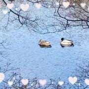 ヒメ日記 2026/02/12 06:12 投稿 ここあ 熟女総本店