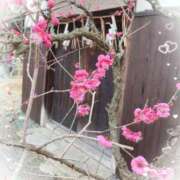 ヒメ日記 2026/02/19 14:44 投稿 ここあ 熟女総本店