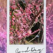 ヒメ日記 2026/02/26 16:42 投稿 ここあ 熟女総本店