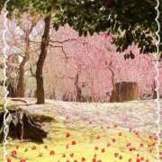 ヒメ日記 2026/03/01 14:52 投稿 ここあ 熟女総本店