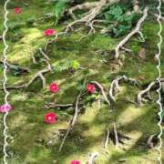 ここあ 本日 熟女総本店