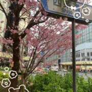 ヒメ日記 2026/03/25 13:52 投稿 ここあ 熟女総本店