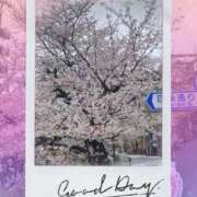 ヒメ日記 2026/04/02 10:42 投稿 ここあ 熟女総本店