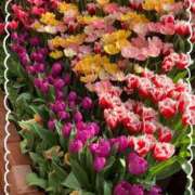 ヒメ日記 2026/04/08 15:22 投稿 ここあ 熟女総本店