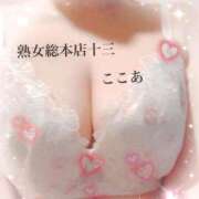 ヒメ日記 2026/04/12 14:18 投稿 ここあ 熟女総本店