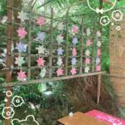 ヒメ日記 2026/05/17 16:52 投稿 ここあ 熟女総本店