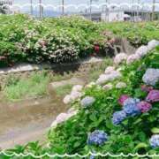 ヒメ日記 2026/06/04 11:22 投稿 ここあ 熟女総本店