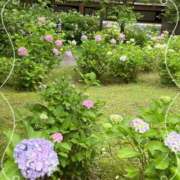 ヒメ日記 2026/06/10 15:46 投稿 ここあ 熟女総本店