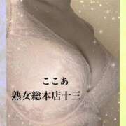 ヒメ日記 2026/08/02 11:05 投稿 ここあ 熟女総本店