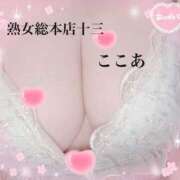 ヒメ日記 2026/09/29 17:28 投稿 ここあ 熟女総本店