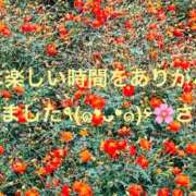 ヒメ日記 2025/10/24 17:50 投稿 さえ 性腺熟女100％（デリヘル市場）