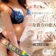 ヒメ日記 2025/10/24 09:34 投稿 はな 人妻本舗愛のしずく名古屋店