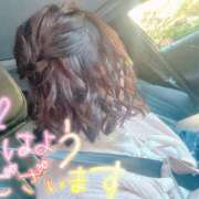 ヒメ日記 2025/10/31 08:53 投稿 はな 人妻本舗愛のしずく名古屋店