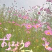 ヒメ日記 2025/11/03 13:00 投稿 はな 人妻本舗愛のしずく名古屋店