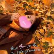 ヒメ日記 2025/11/27 21:08 投稿 はな 人妻本舗愛のしずく名古屋店