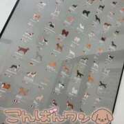 ヒメ日記 2025/12/01 22:20 投稿 はな 人妻本舗愛のしずく名古屋店