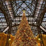 ヒメ日記 2025/12/22 17:39 投稿 はな 人妻本舗愛のしずく名古屋店