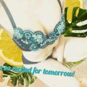 ヒメ日記 2025/12/20 11:02 投稿 せり AZURE（アジュール）